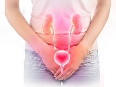 cranovia urinary track bladder