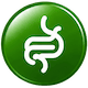 gut health